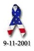 In Memory of the 911 Casualties
